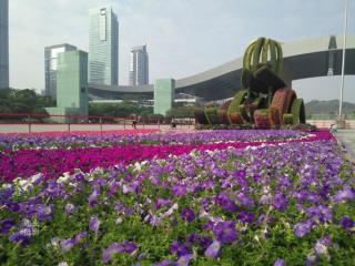 国际花园城市（中国首个国际花园城市）