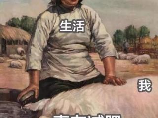 减肥图片搞笑（这套减肥图要笑死我了）