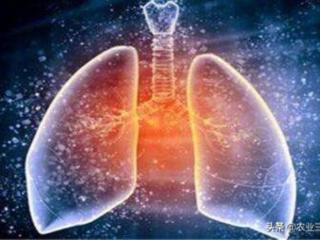 寂寞的街（我不想一个人拥有这一片寂寞的街）