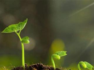 关于生命的名人名言（关于生命的名人名言50句）