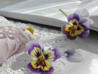 名言警句励志（14句绝不不放弃的励志名言）