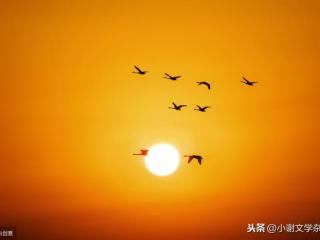 那些年错过的爱情（爱是成全——那些年）