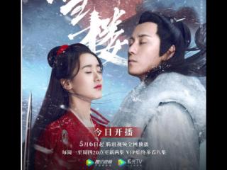 听雪楼电视剧（听雪楼主演名单剧情介绍）