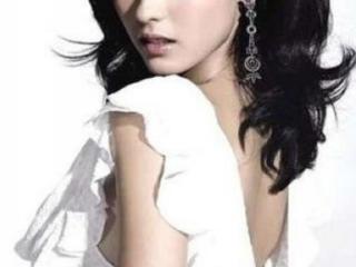 张柏芝陈冠希艳门照（揭秘艳门照背后的秘密）