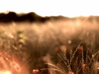 分手后很绝情的女人，分手后她为什么这么绝情