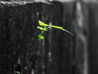 有没有分手几年后又复合的，分手几年后再次复合