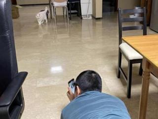 papi酱老公（PAPI酱老公近照罕见曝光）