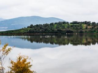 一个女人反复拉黑或者删除你，为什么女人会反复拉黑你