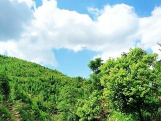 男生生气拉黑说明很在乎，一生气就拉黑你的人