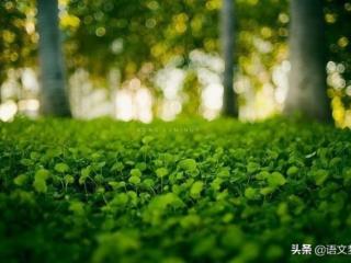 座右铭大全，世界名人最有哲理的座右铭集锦