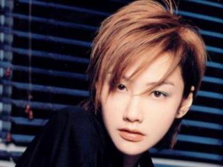 陈冠希艳照门女星（被陈冠希事件毁掉的女明星）