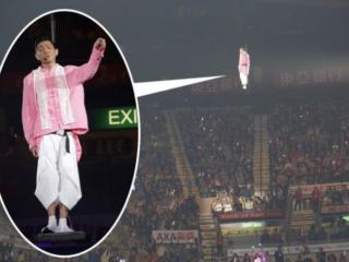 刘德华的女儿（刘德华演唱会全家到场）