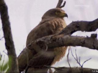 搞笑图片笑死人动态（史上超级爆笑动态图）