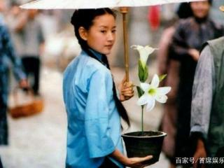 电视剧金粉世家（原著比电视剧惨了一百倍）