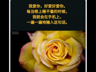 爱你实在太累（爱一个人真的太累了）