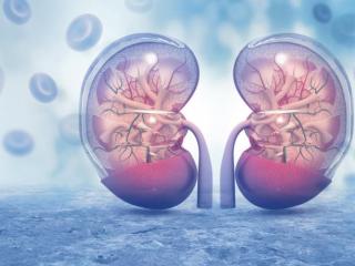 周杰伦的病能活多久（周杰伦的病有多严重）