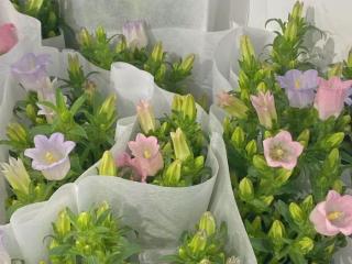 什么护肤品好用（还是这几个最经典最好用）