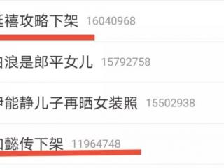 延禧攻略下架了吗（宫廷剧三巨头两部被下架）