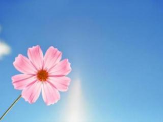 午后阳光唯美意境句子（积极阳光的朋友圈唯美句子）