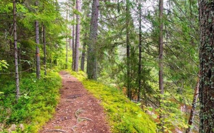 友情的句子（句句正能量的好句子）