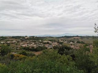 法国葡萄酒分级（读懂法国葡萄酒法律及葡萄酒分级）