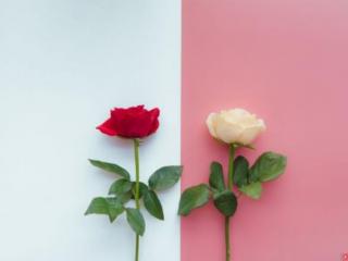 什么时候是七夕，七夕节是中国情人节吗