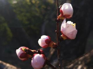 距离产生美下一句（距离产生美一定对吗）