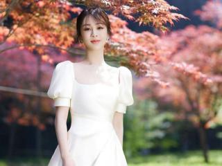 杨紫写真曝光（杨紫穿白裙置身红叶中氛围感满满）