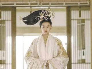 山阴公主刘楚玉（山阴公主公然调戏姑父）