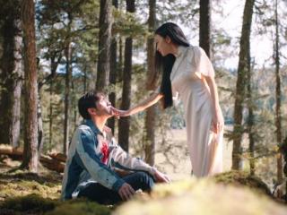 半妖司藤人物关系（秦放和司藤是什么关系）