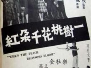 郑少秋和沈殿霞（沈殿霞与浪子郑少秋的爱恨情仇）