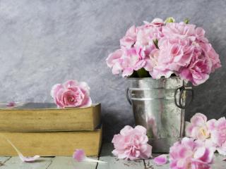 深爱你的女人彻底离开，女人对一个男人彻底死心