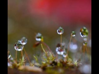 在薄情的世界里深情的活着（要学会在薄情的世界里深情地活着）