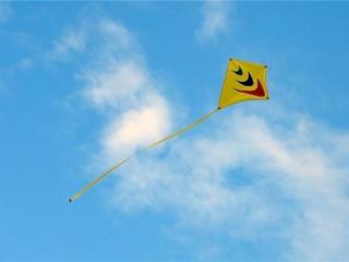 越是成功的男人一眼看出女人，每个成功的男人背后