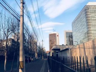 无奈的句子（伤感无奈的心情句子）