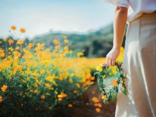 十里春风不如你什么意思（常说春风十里不如你）