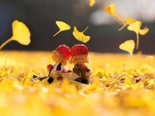 哪几种婚外情难断（遇到以下几种婚外情对象）