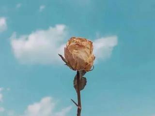 让男人瞬间就后悔的句子（说感情句子让男人愧疚）