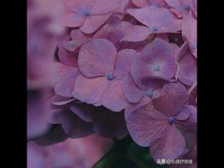 一段让对方愧疚的话（让对方看了愧疚难安的5个句子）