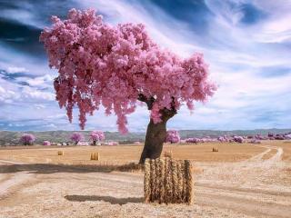 让男人看了暖心的话（让小哥哥脸红心跳的话）