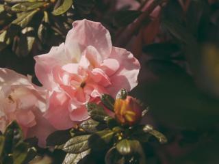 女人暗示你可以上她的表现，会在这些地方频繁暗示你