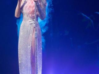 周杰伦蔡依林演唱会（周杰伦等人给蔡依林演唱会送花篮）