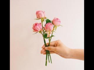 辛苦一天晚安说说（忙碌的一天晚安心语）