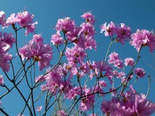 他主动叫我删他啥意思（当一个男生主动删除你的微信）