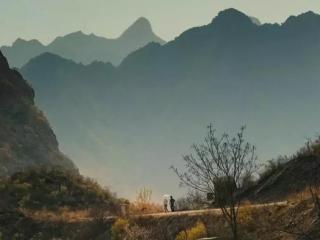 章子怡激情戏（章子怡和郭富城的一段激情戏）