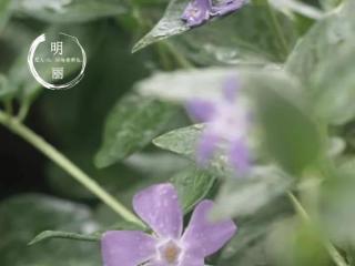 出轨三年的男人还可以要吗（出轨老公跟第三者在一起好几年）