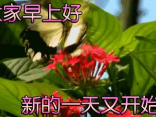 人生一条路（路就有多长。人生有多深）