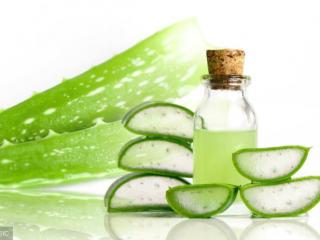 芦荟胶的功效与用法（用了这么多年的芦荟胶）