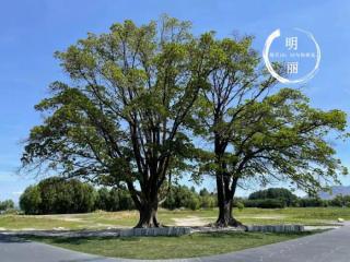 出轨男人能真正回头吗（什么样的出轨男人会真心回头）