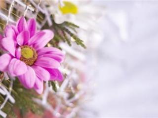 早安心语优美的语句（早安心语唯美的一句话心情说说）